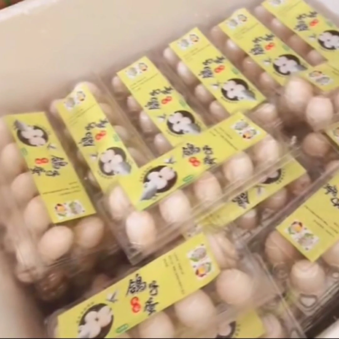 鸽子蛋（10枚装）小孩孕妇首选