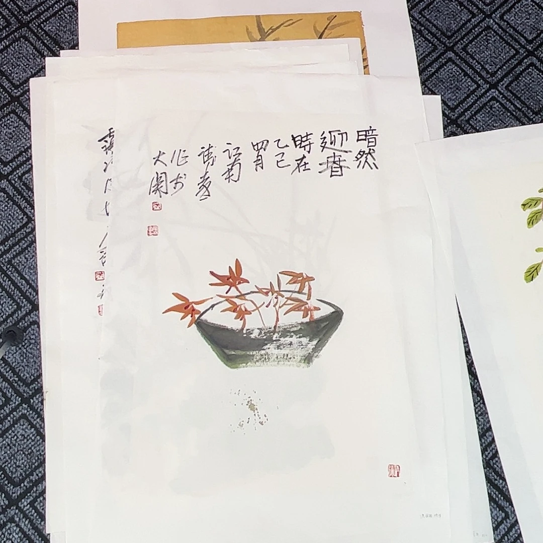 国画洪国林老师四尺三开花鸟奇