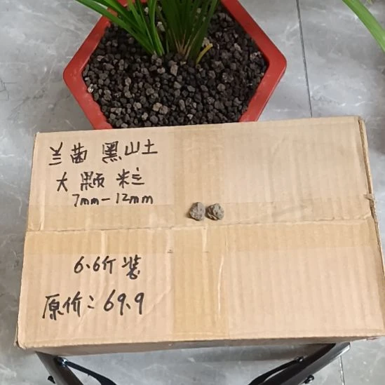 心***愿兰菌黑山土大颗粒6.6斤