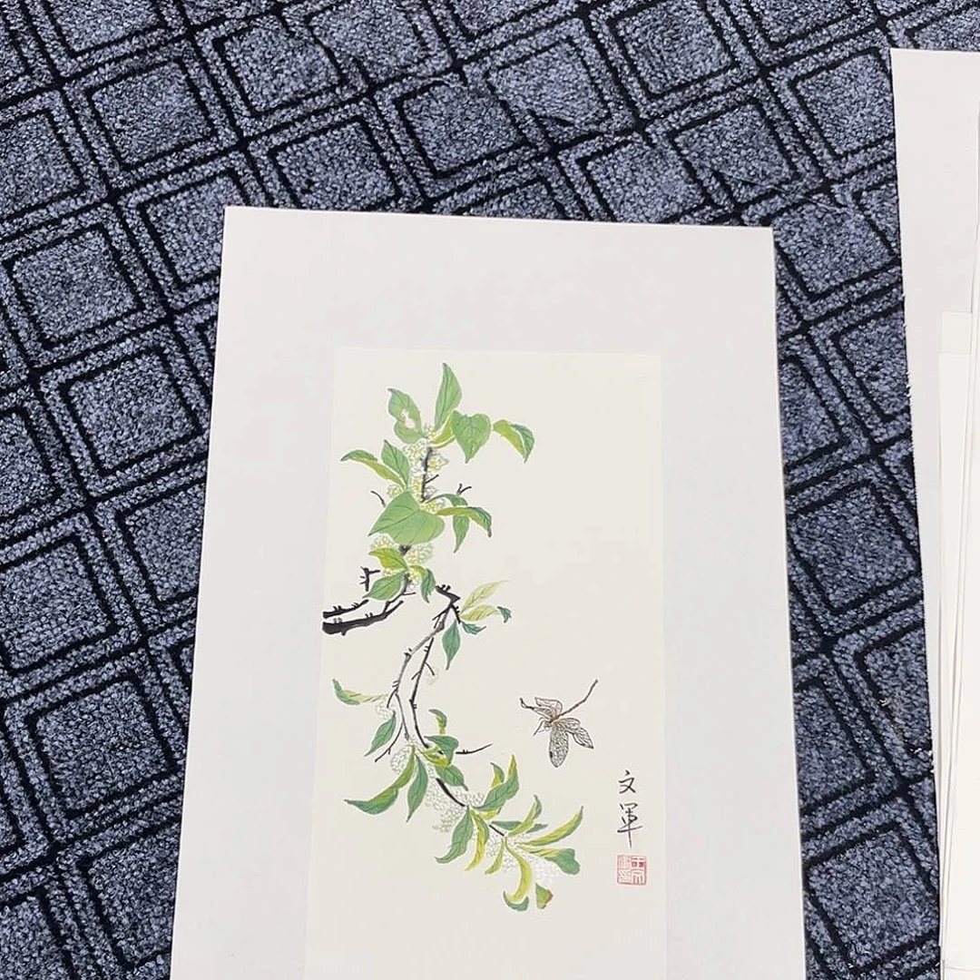 国画文军老师52/26花鸟冯