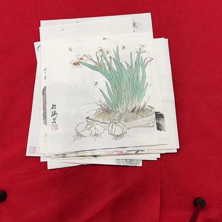 国画花鸟等多种鸟类和鸟类