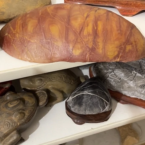 无花朵有***_家居装修效果图