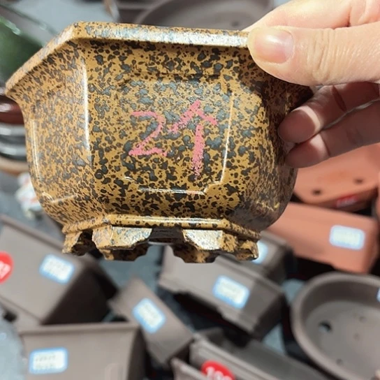 紫砂花盆闲**步宜兴紫砂