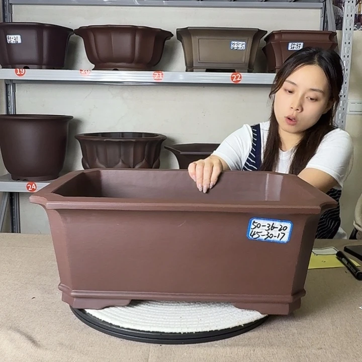 紫砂花盆紫砂花开