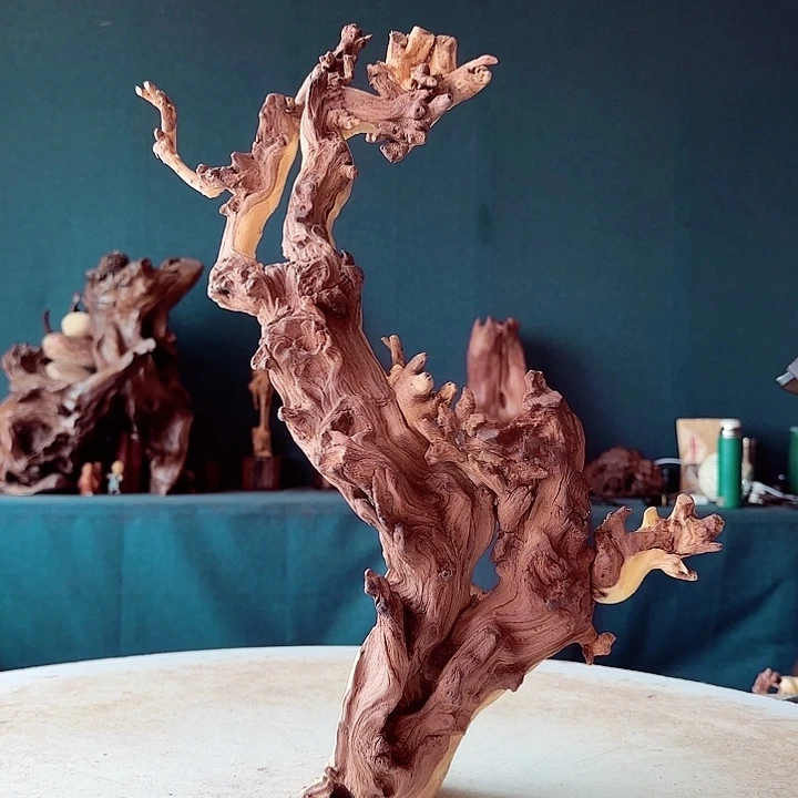 黑果木善**选459金丝红羊蹄甲半成品