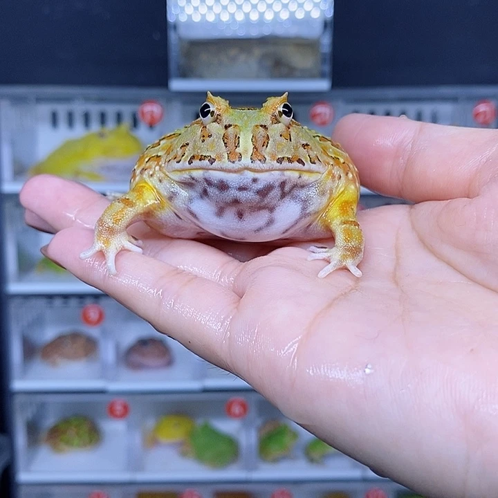 特价秒杀现货特价
