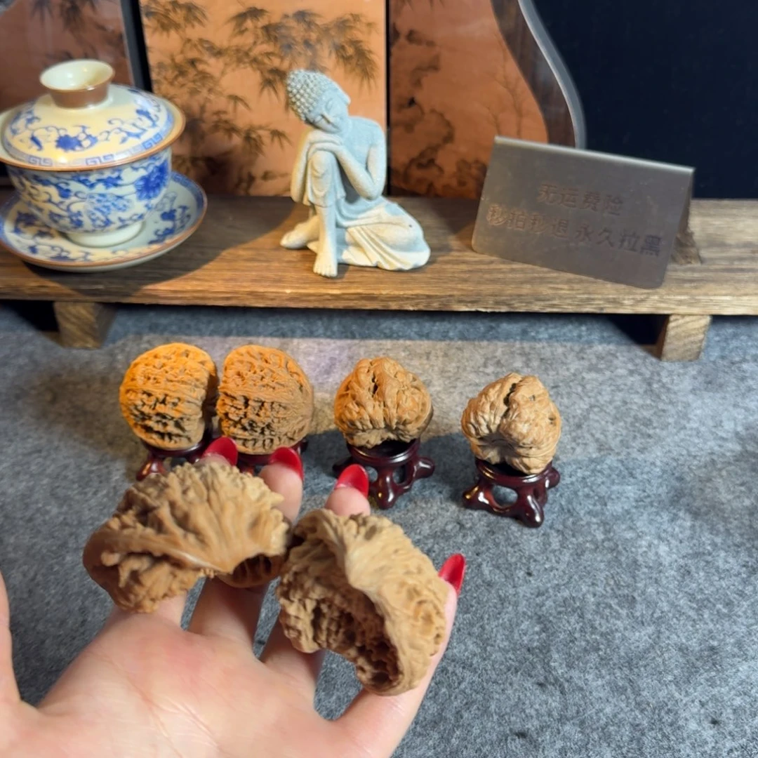 大胃袋聚宝盆50全品