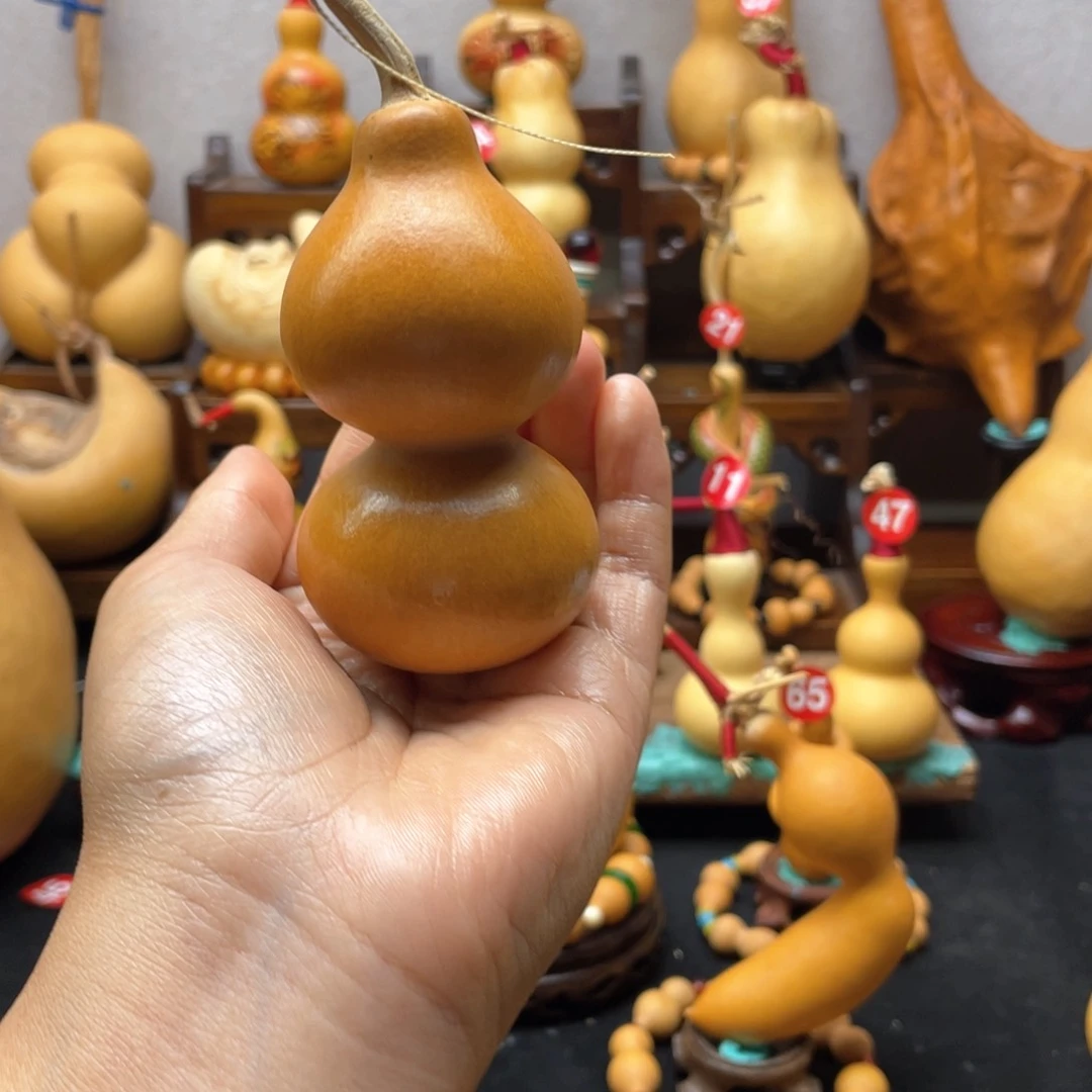 睡*着大自然的秘密第十一节课