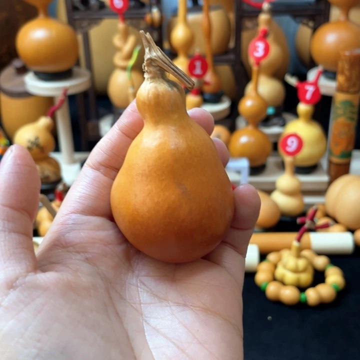 ?*溱葫芦丝和音乐也可以在
