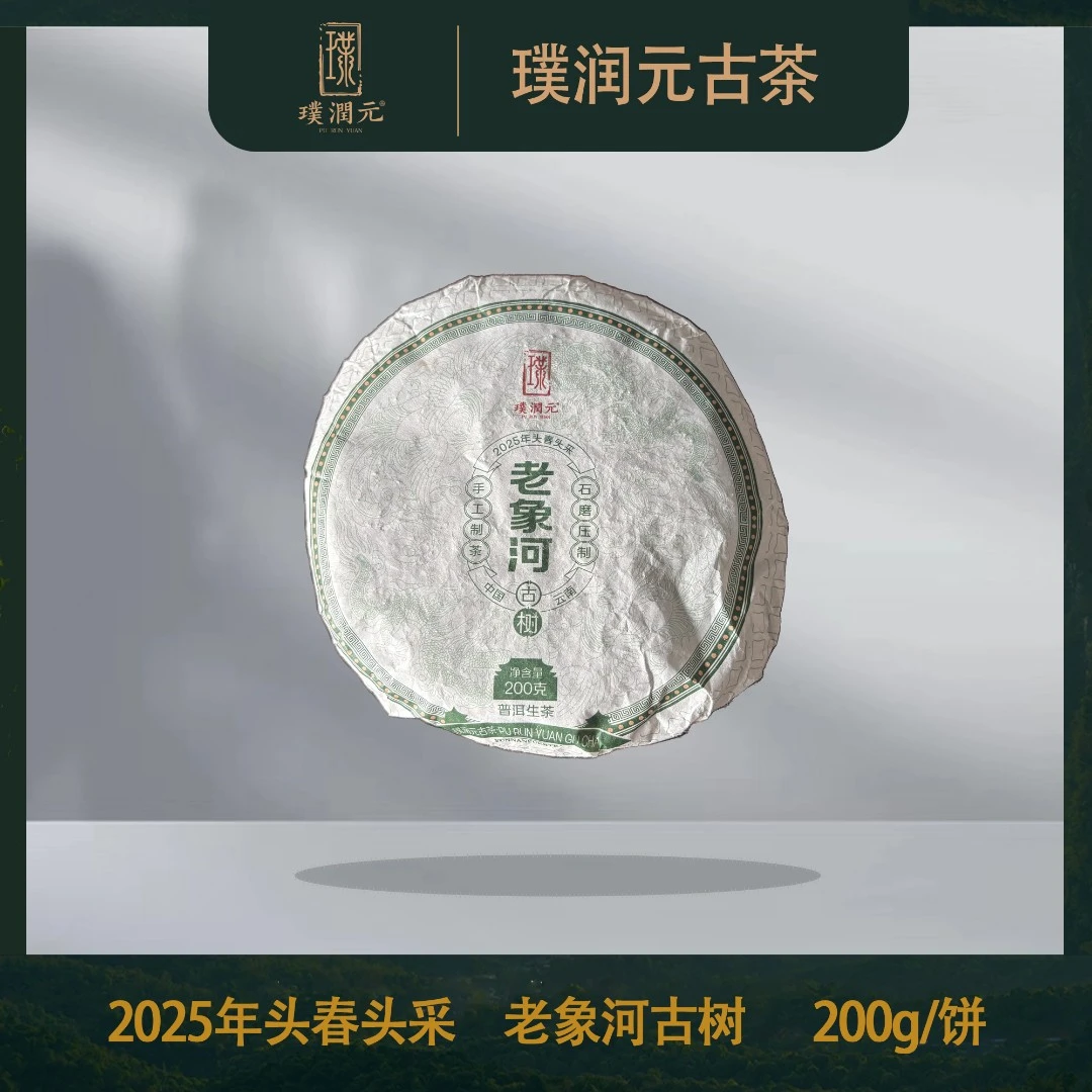 璞润元古茶【老象河古树】2025年头春头采普洱茶山头生茶200g/饼