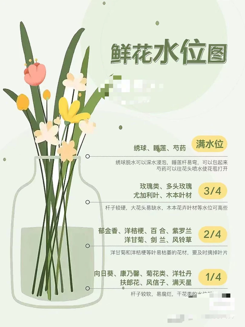 曼塔15支+5支防损  鲜花任意两单包邮