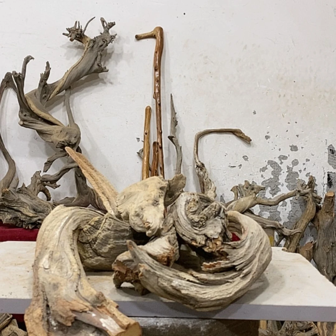 【闪购商品】柏木展****）我们都是好孩子