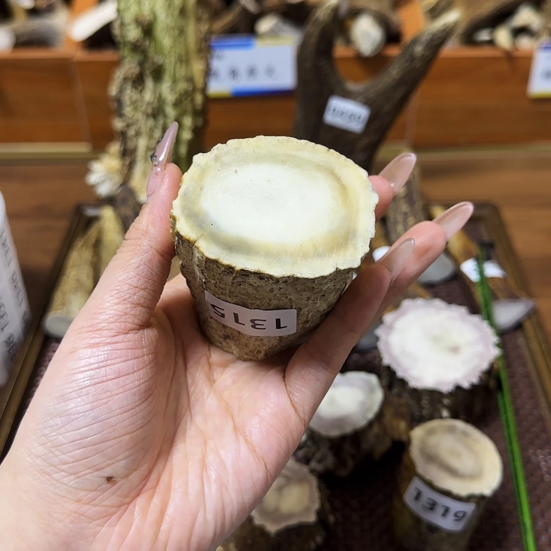 手串/手链鹿骨1315根段