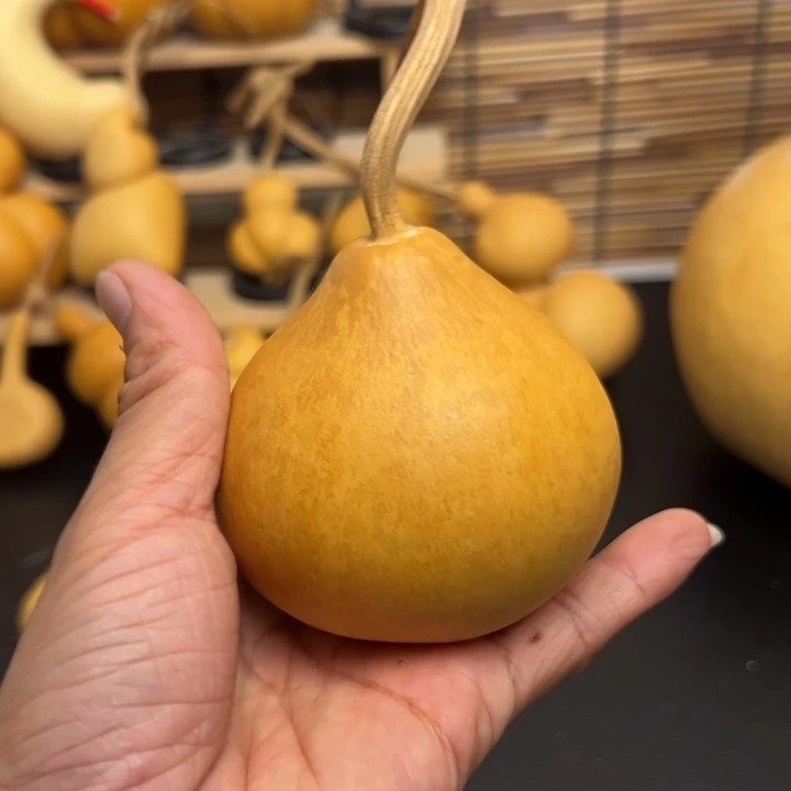 ?*?45555666666666668899