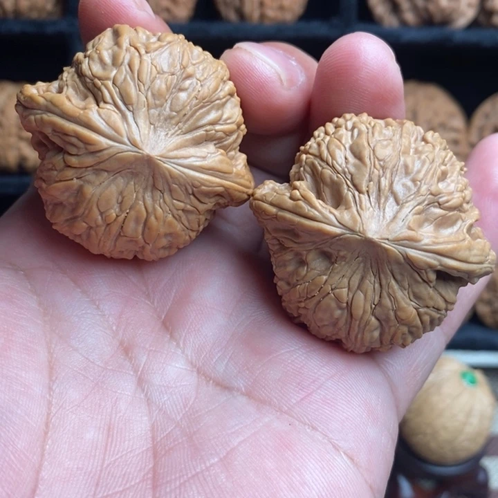 全品小众绣球44尺寸