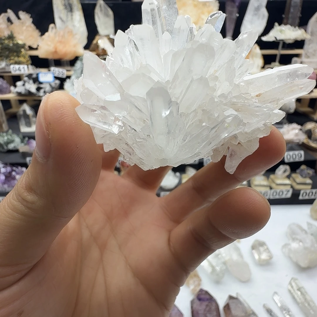 石材金口河菊花晶