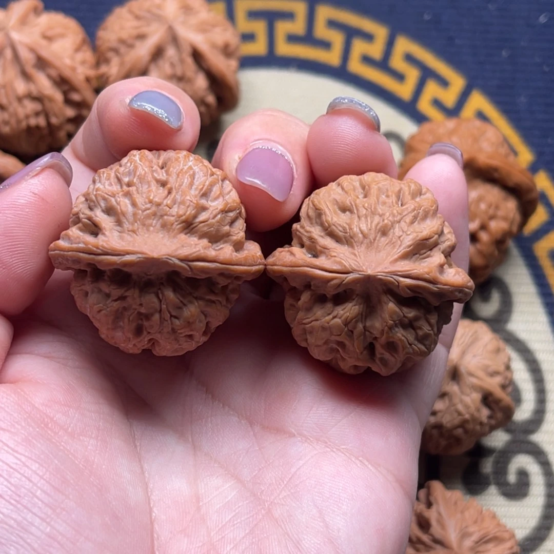 核桃高端小众雪狮34