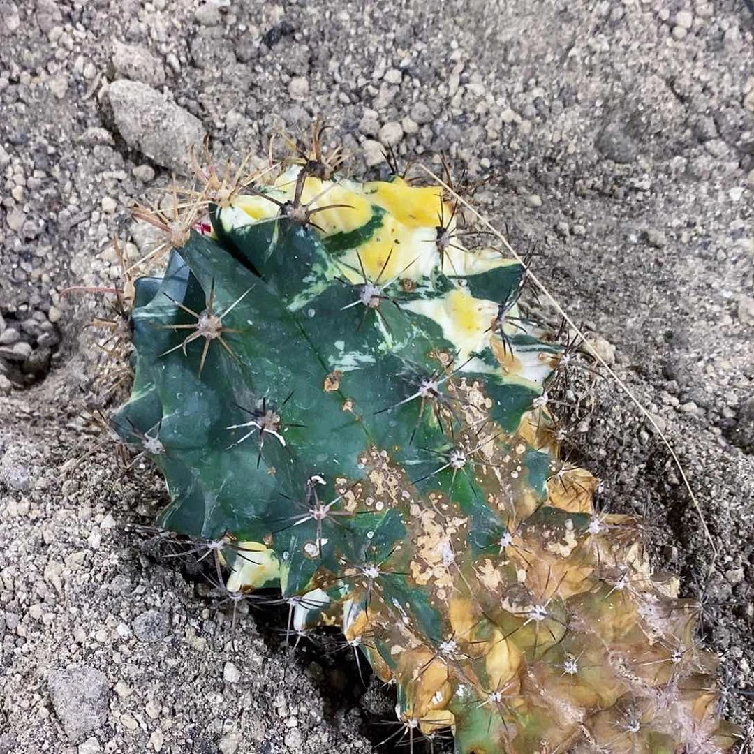 ✎****`900000000000000000