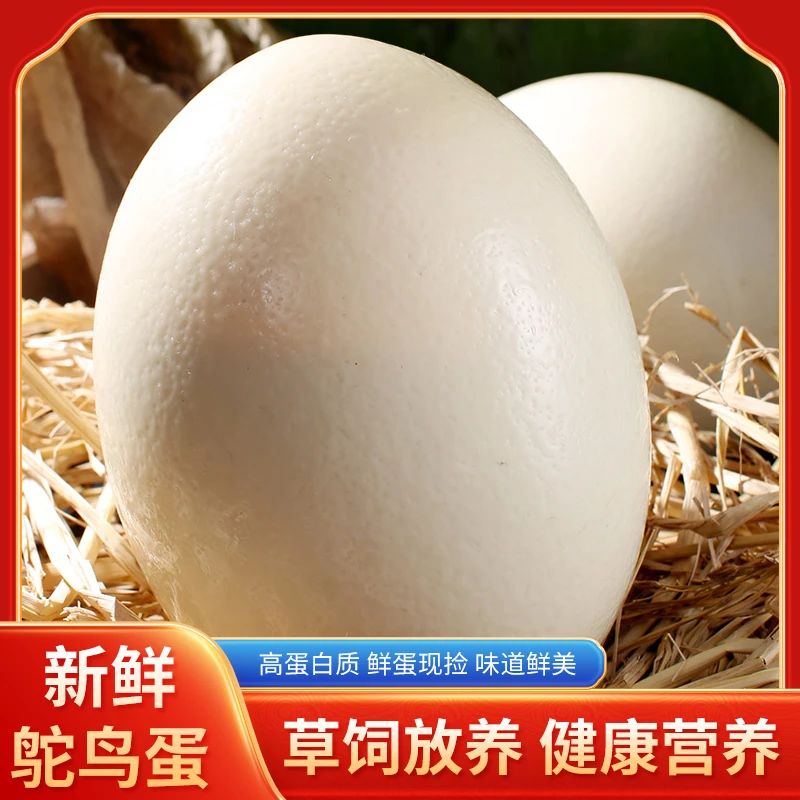 农家散养新鲜鸵鸟蛋大号驼鸟蛋端午送礼实惠健康养殖京东送货上门