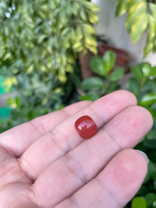 1号:福利南红（玫锦红10.6老型）