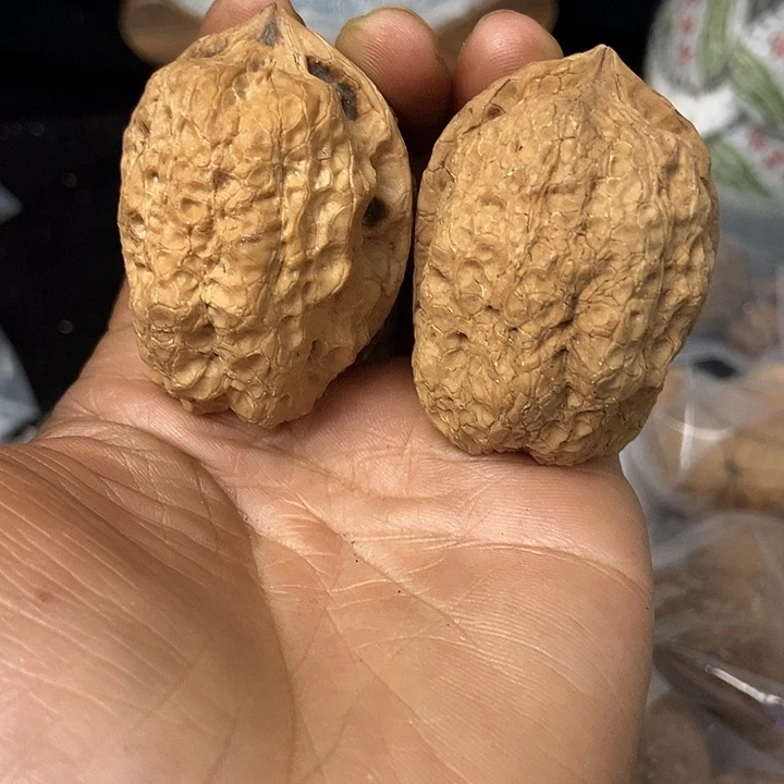 文玩核桃把件云南铁核桃基地49