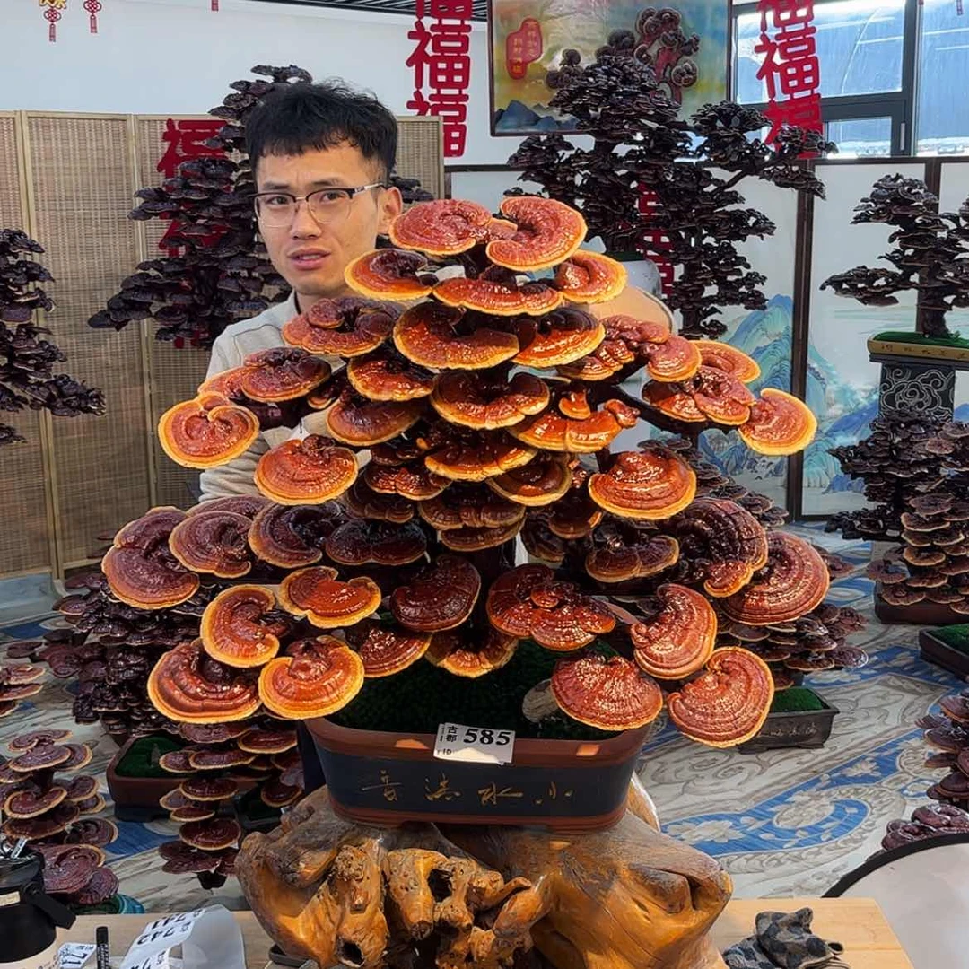 【闪购商品】88888