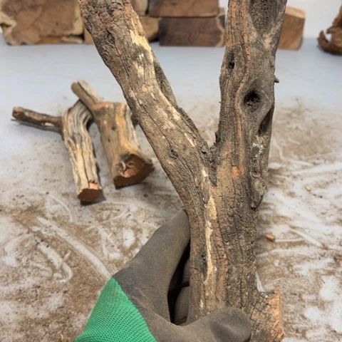 大果紫檀（缅甸花梨）大*蛋