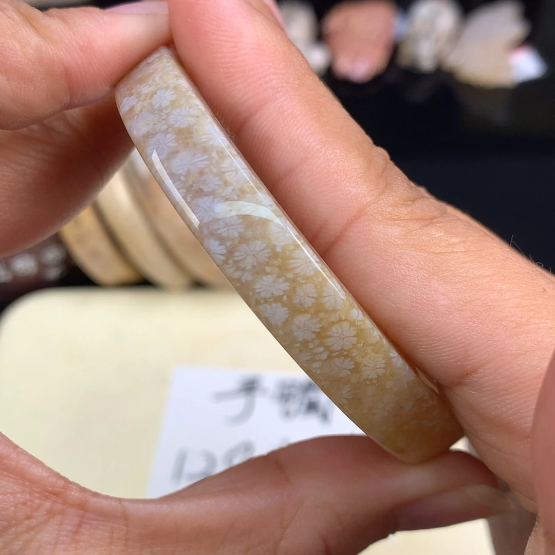 【闪购商品】颈饰未镶嵌硅化珊瑚（珊瑚玉）48号小雏菊55.7圈