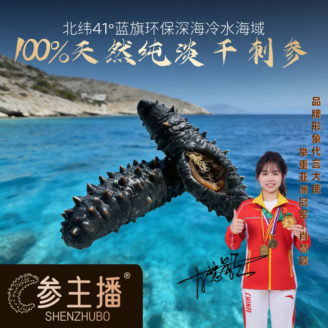 shenzhubo/参主播【35头以内】希腊克里特岛米刺参纯淡干野生参肉厚