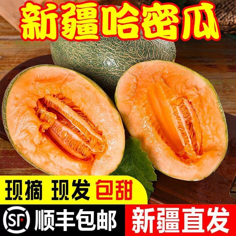 哈密瓜新疆正宗西周蜜苹果冰糖心青皮新鲜水果网纹应季整箱包邮