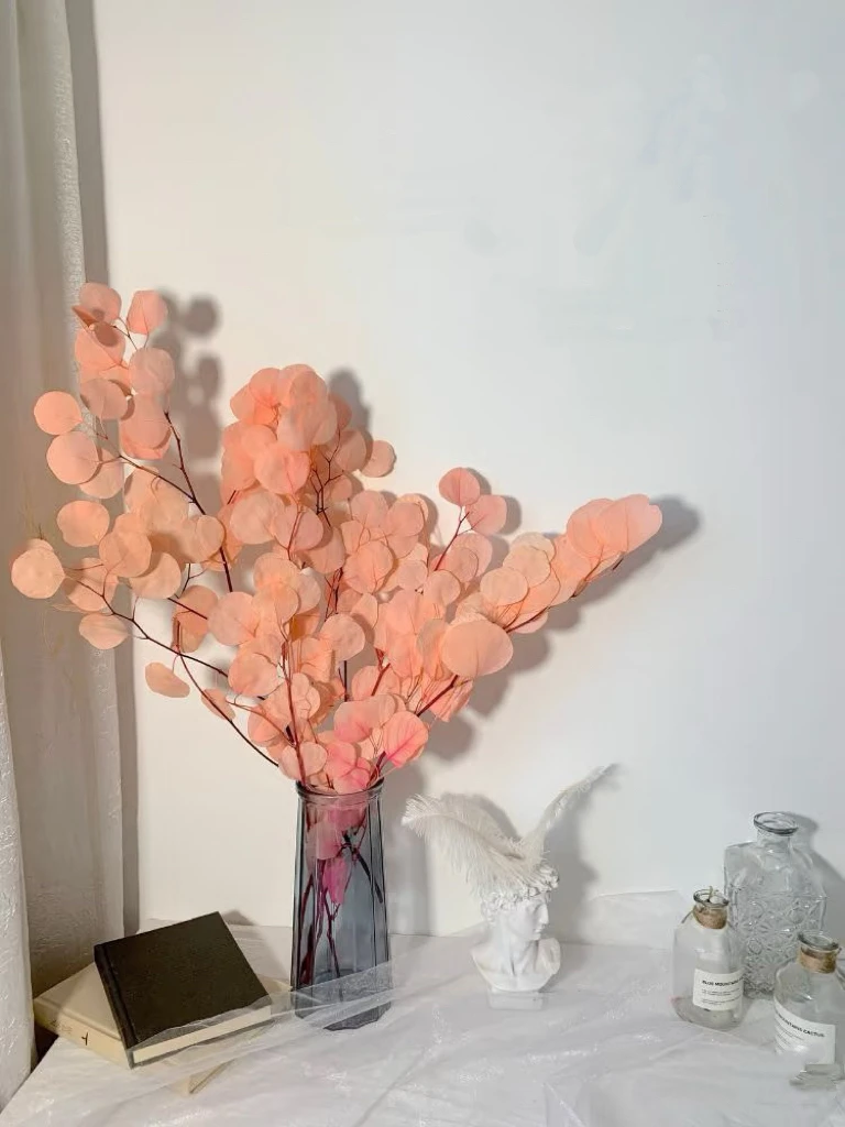 【莲莲专属】AAA级粉色可选桌面款苹果尤加利叶调性花材
