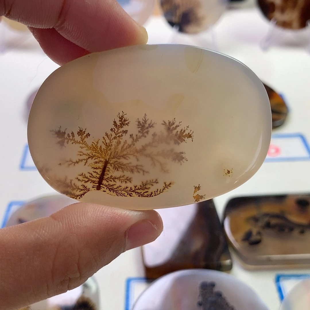 未镶嵌玛瑙/玉髓珠宝半成品