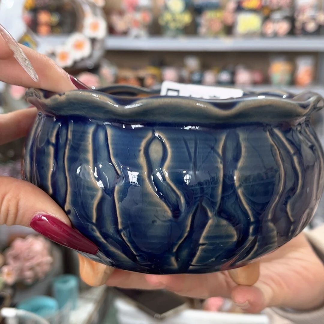 【闪购商品】红陶福利