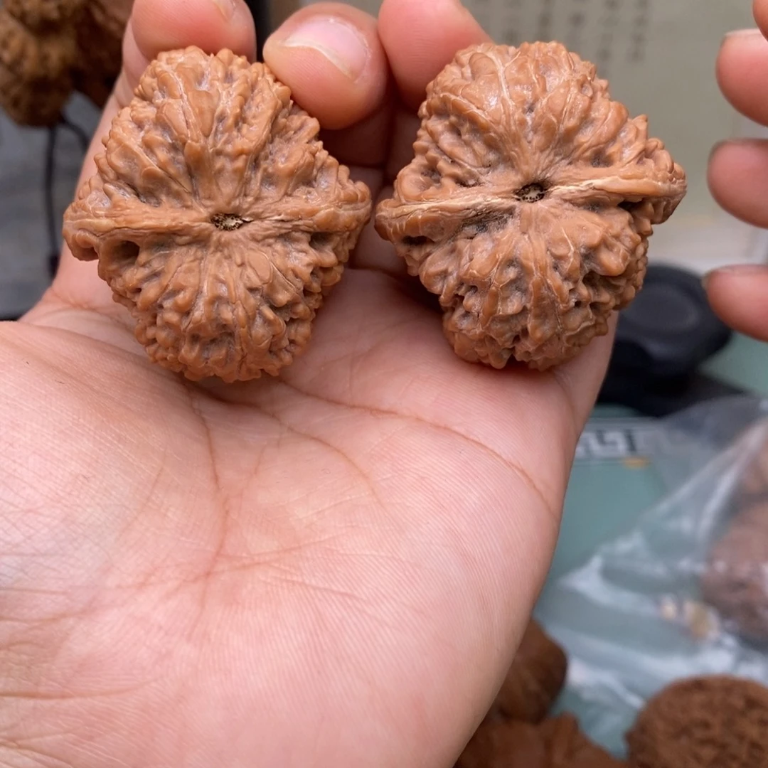 文玩核桃把件38大蒜头