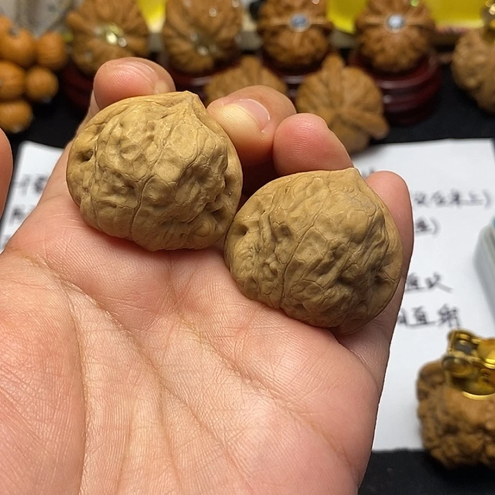 吊坠龙脊菩提古蝉