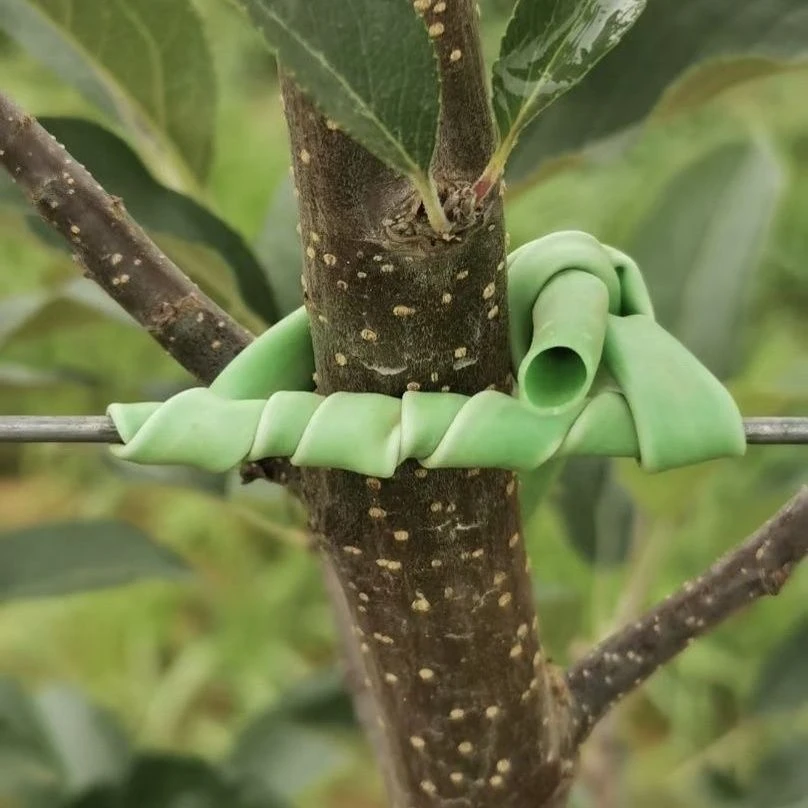 果树拉枝定型捆绑管果树固定绳果树绑管弹性绿色硅胶管园艺通用