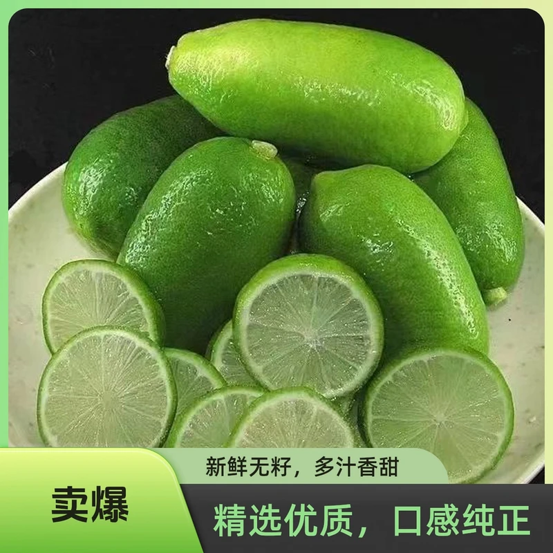 【新鲜包装】海南香水无籽青新鲜水果奶茶店无籽香水鲜青柠檬