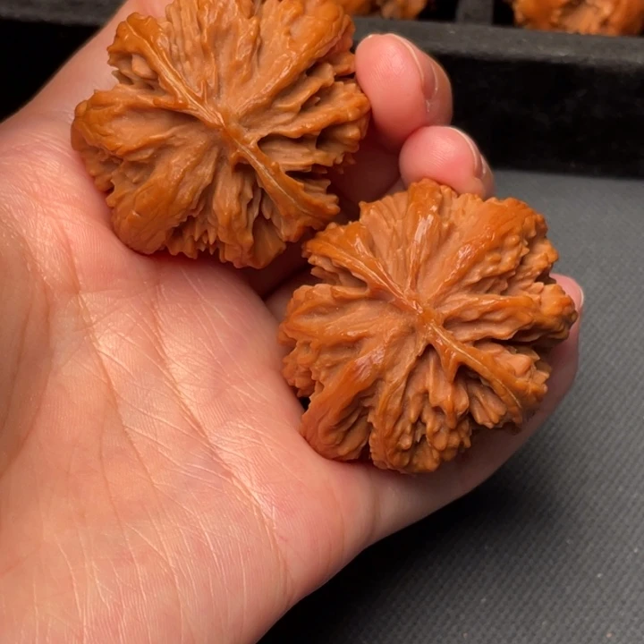 菩提籽类秦岭野生核桃文玩