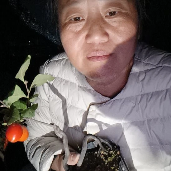 你****无花朵152254888888