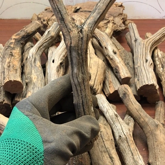 大果紫檀（缅甸花梨）爱****?