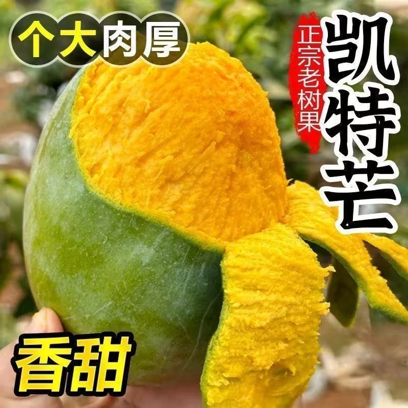 四川攀枝花青皮凯特芒果新鲜水果当季整箱特大凯特芒鲜果大芒果