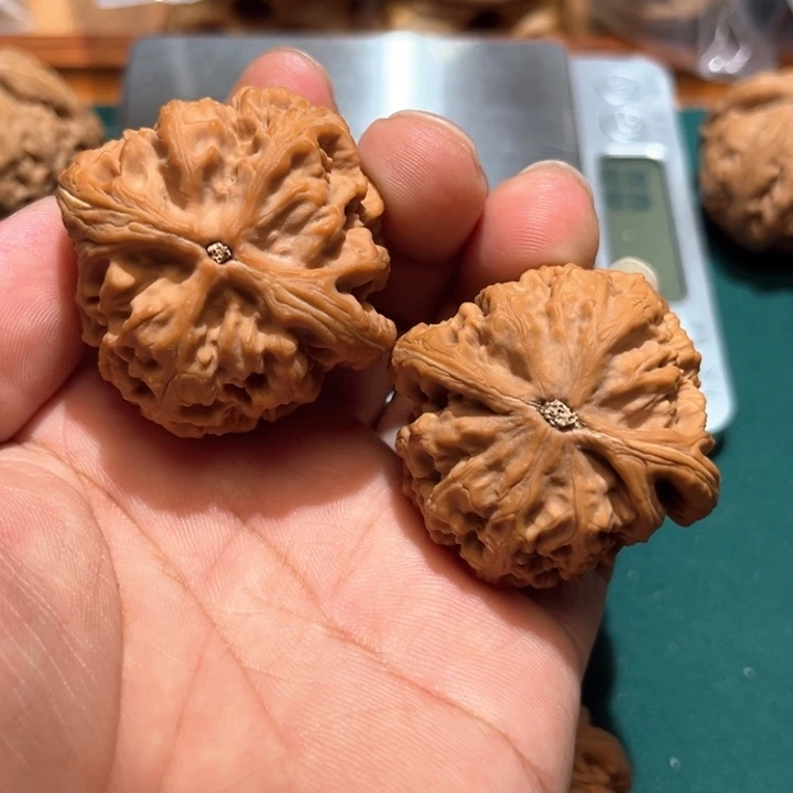 锦***。文玩核桃把件文玩核桃手把件红锦鲤