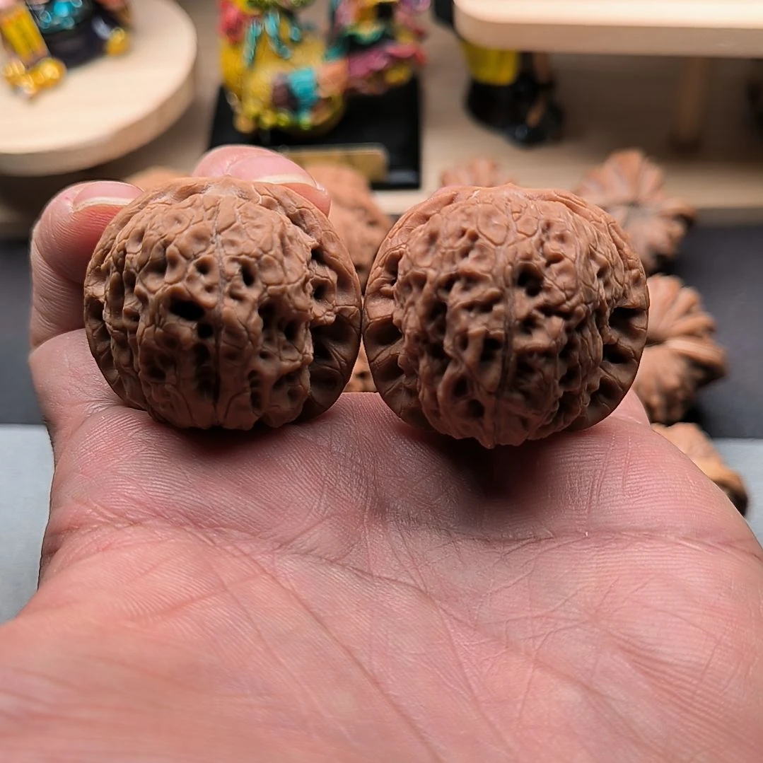 核桃血麒麟37尺，尖微修。