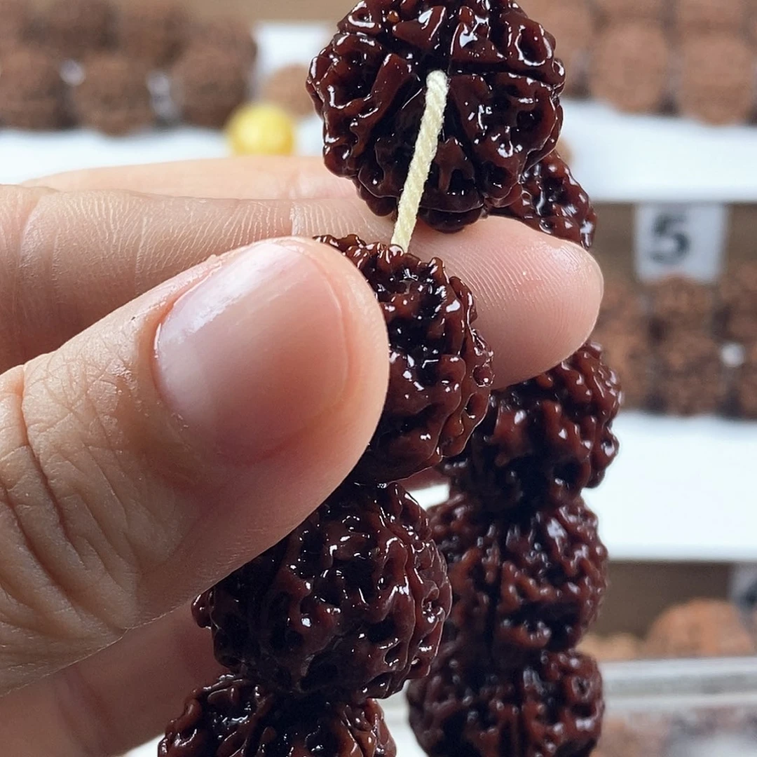 手串金刚菩提原生态5瓣梅花双龙