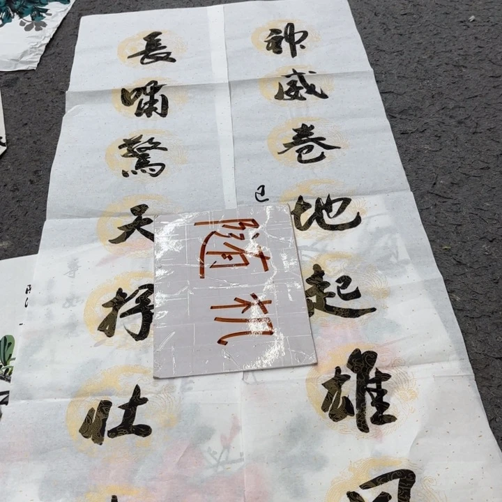 字画等多种形式的艺术作品和