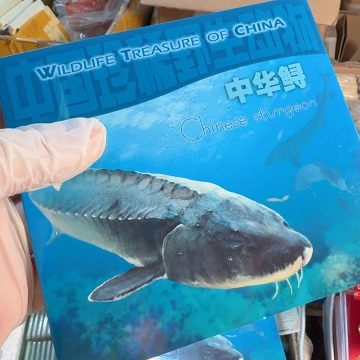 其他普通金属中华鲟卡册