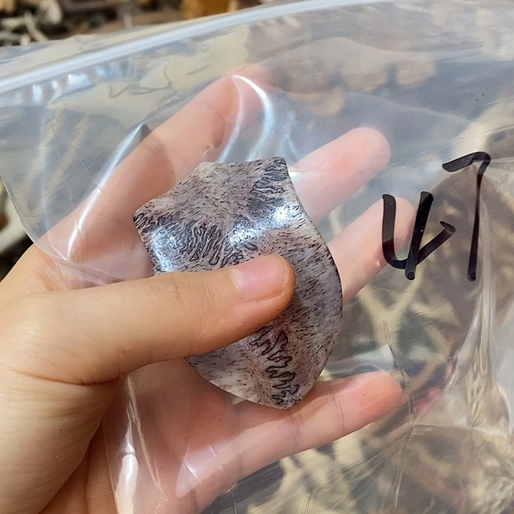 瑟***哒无非金属三界三界