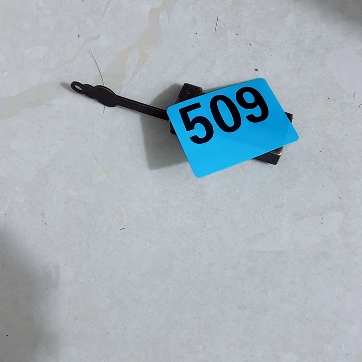 双***园111111111111111111