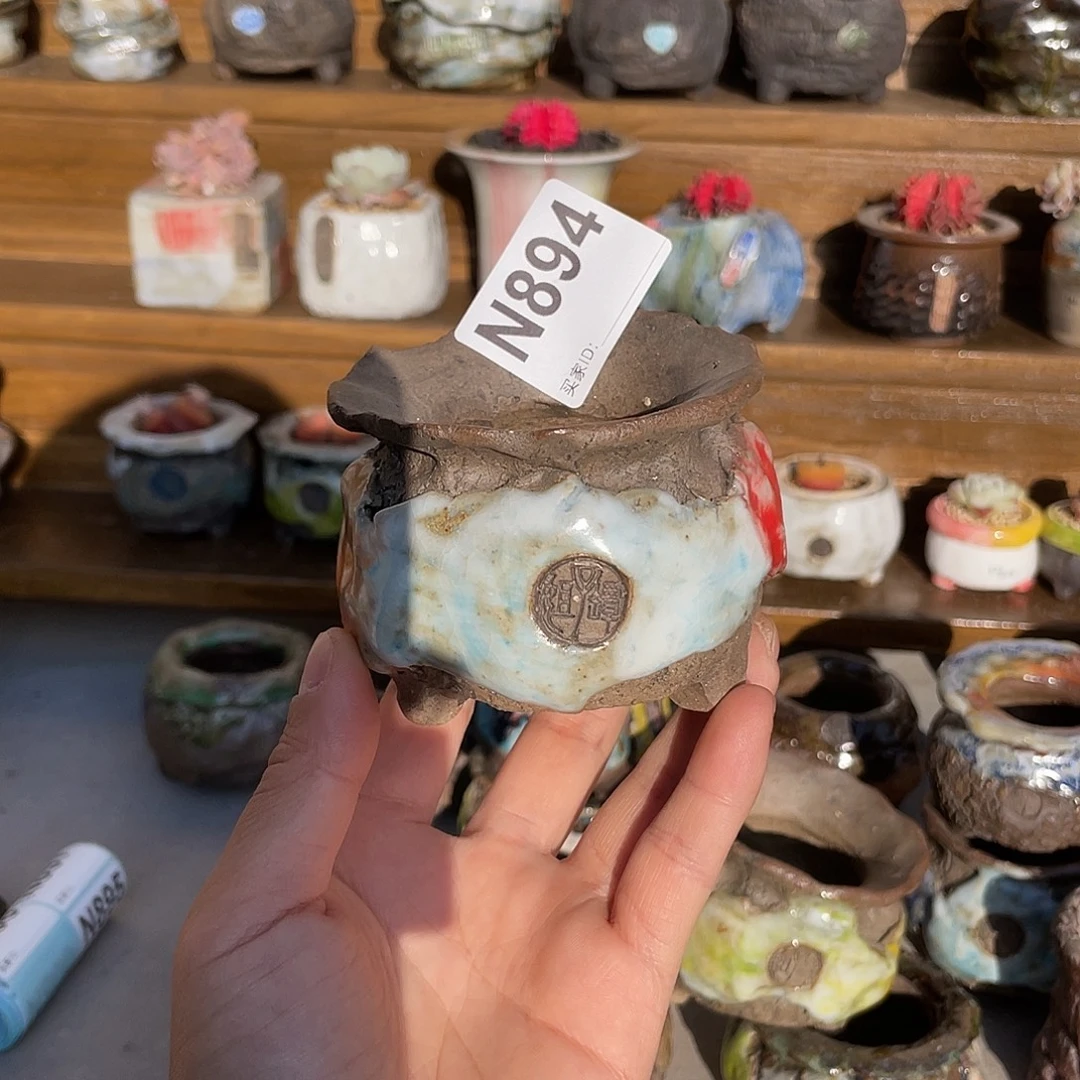 文***文坛子姐多肉花盆内口