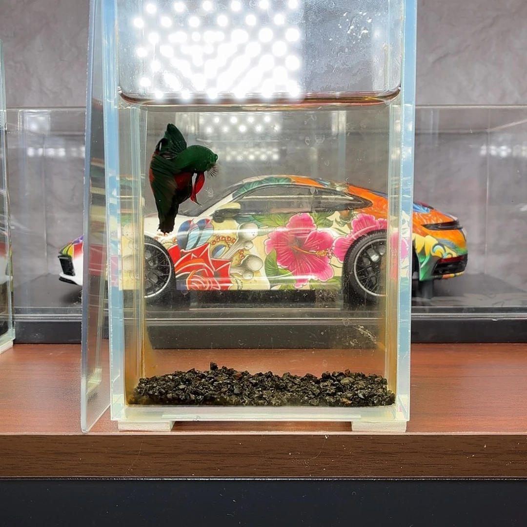 斗鱼绿魔地狱火半月